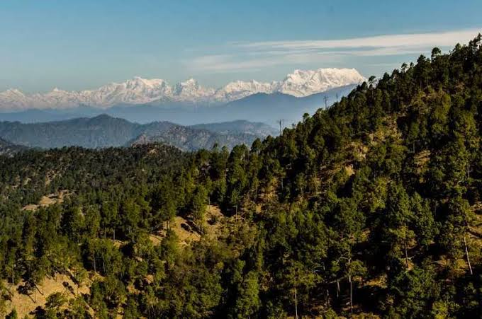 Zero Point Binsar - Places to Visit in Almora - Gola Holidays - Slide 3